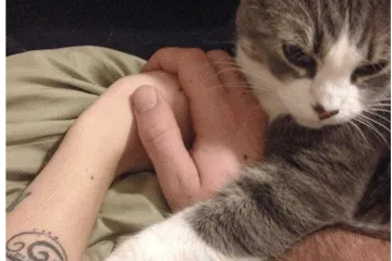 Screenshot 2025 03 15 At 3.57.57 Pm